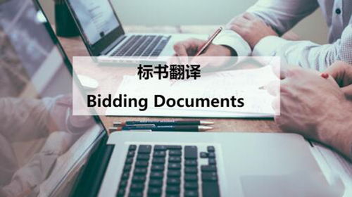 标书翻译服务 专业助力企业竞标国际化