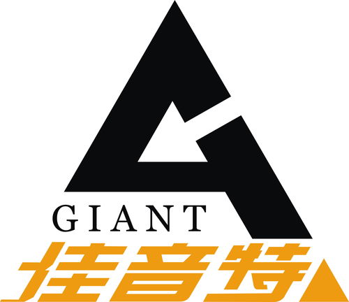 南通口译王 词汇量逾2万，活字典级翻译服务获赞誉